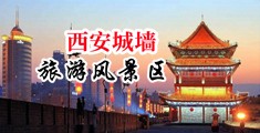 妓导航中国陕西-西安城墙旅游风景区