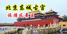 美女被操到高潮在线观看中国北京-东城古宫旅游风景区